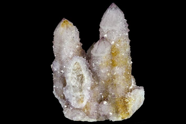 Cactus Quartz (Amethyst) Cluster - South Africa #115118